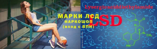 PSILOCYBIN Магас