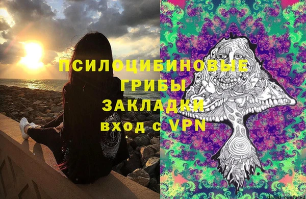 PSILOCYBIN Магас