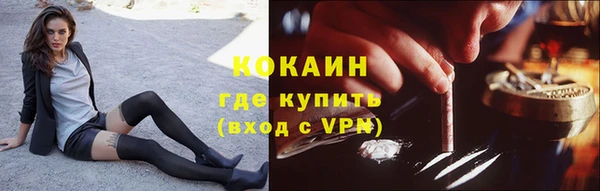 PSILOCYBIN Магас