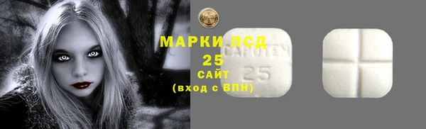PSILOCYBIN Магас