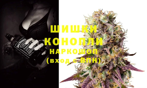 PSILOCYBIN Магас