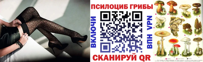 mega tor  купить закладку  Тында  Псилоцибиновые грибы прущие грибы 